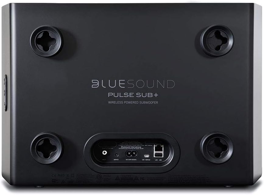 Back view of a Bluesound Pulse Sub+ wireless powered subwoofer