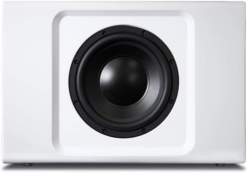 White speaker with black driver on a white background