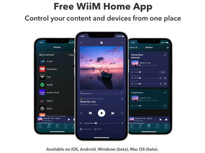 Wiim Amp Multi-Room Streaming Amplifier - Space Grey
