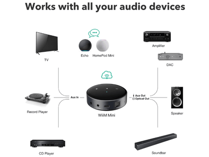 Wiim Mini Wireless Audio Streamer/Preamplifier