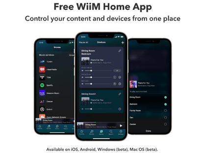 Wiim Mini Wireless Audio Streamer/Preamplifier