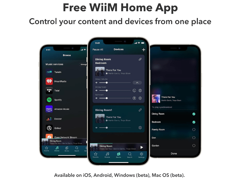 Wiim Pro Hi-Res Audio Streamer
