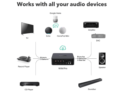 Wiim Pro Hi-Res Audio Streamer