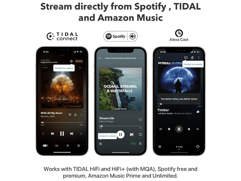 Wiim Pro Hi-Res Audio Streamer