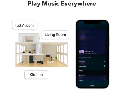 Wiim Pro Hi-Res Audio Streamer