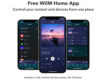 Wiim Pro Plus Hi-Res Audio Streamer