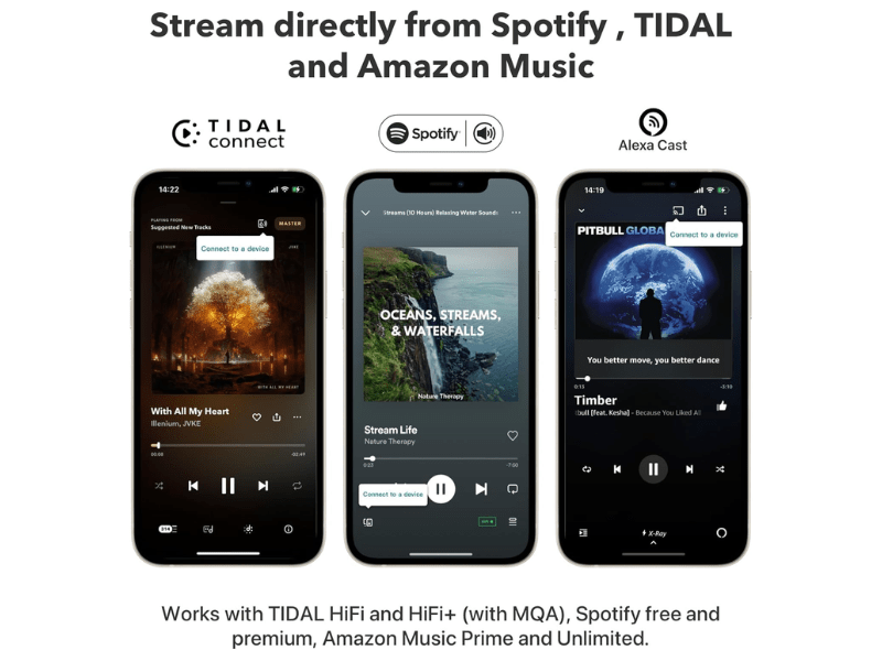 Wiim Pro Plus Hi-Res Audio Streamer