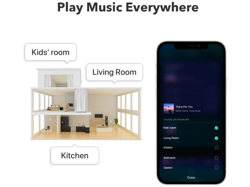 Wiim Pro Plus Hi-Res Audio Streamer