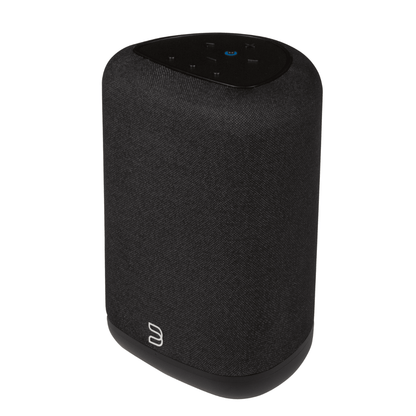 Bluesound Pulse Flex Speaker (2025)