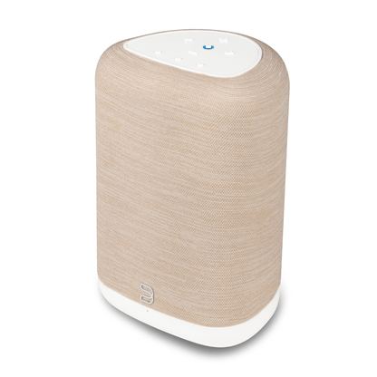 Bluesound Pulse Flex Speaker (2025)