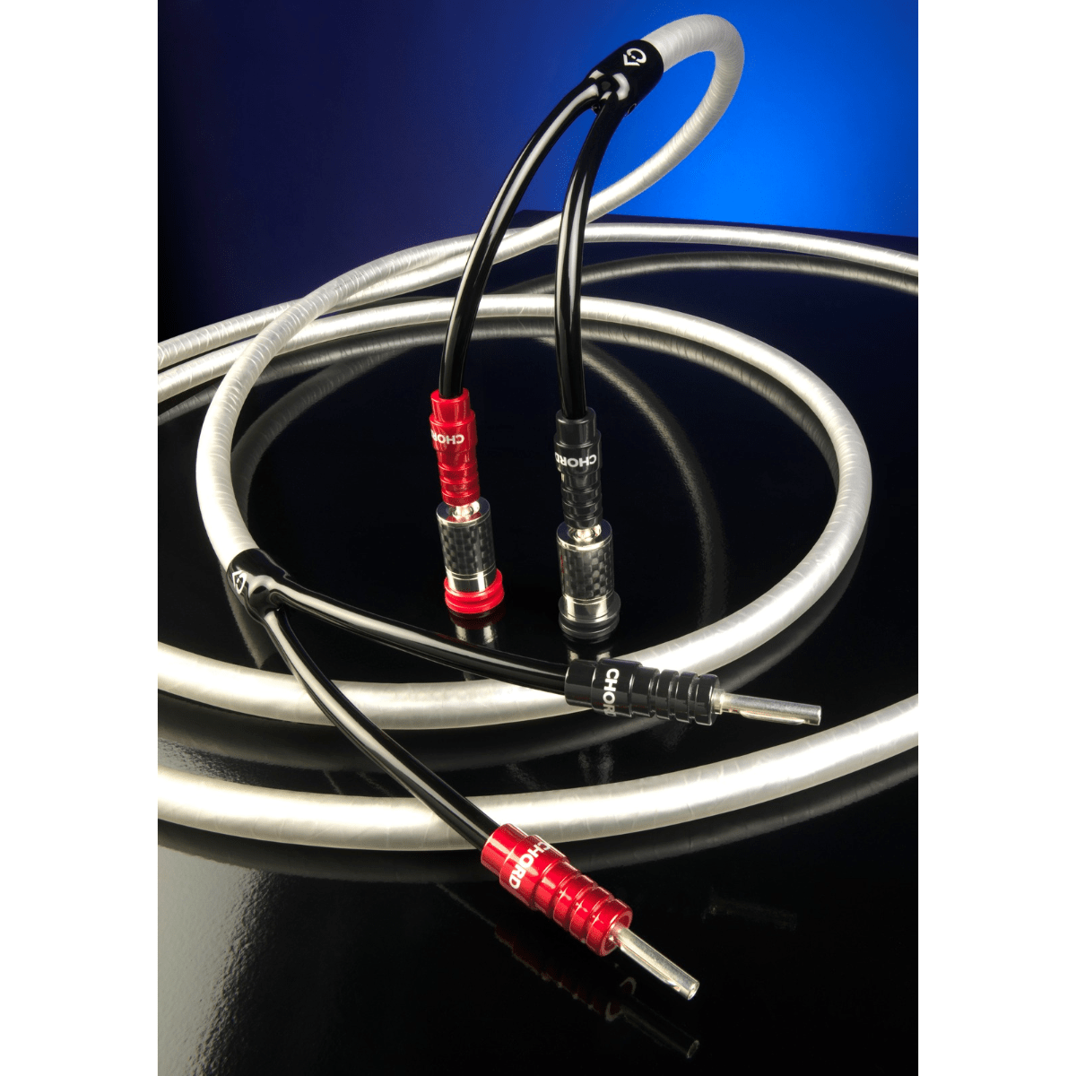 Chord Company ClearwayX speaker cable coiled on a reflective black surface, red and black ChordOhmic banana plugs fitted into binding posts