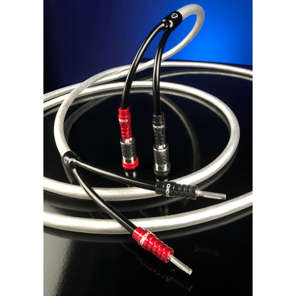 Chord Company ClearwayX speaker cable coiled on a reflective black surface, red and black ChordOhmic banana plugs fitted into binding posts