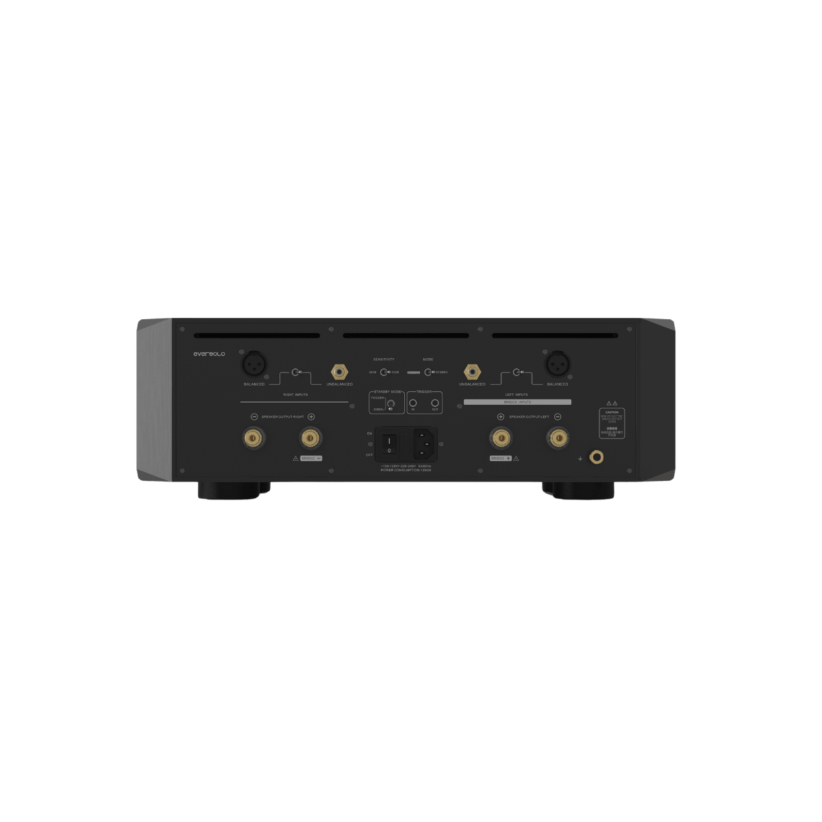 Eversolo AMP-F10 Power Amplifier Back