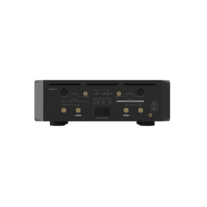 Eversolo AMP-F10 Power Amplifier Back