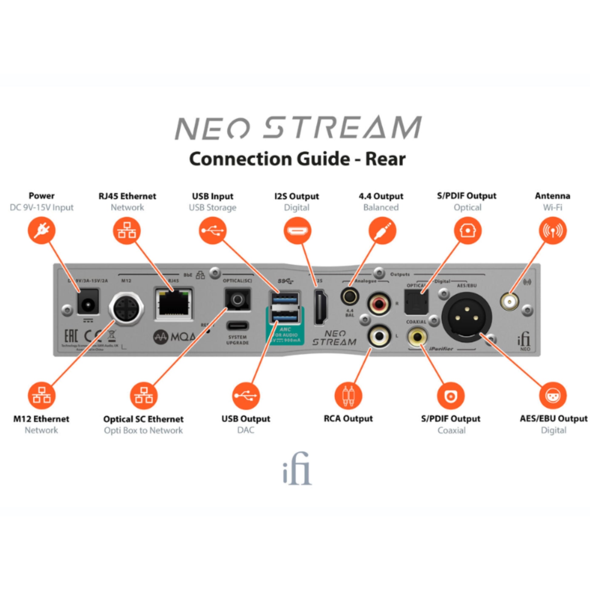 Back panel of ifi neo stream 